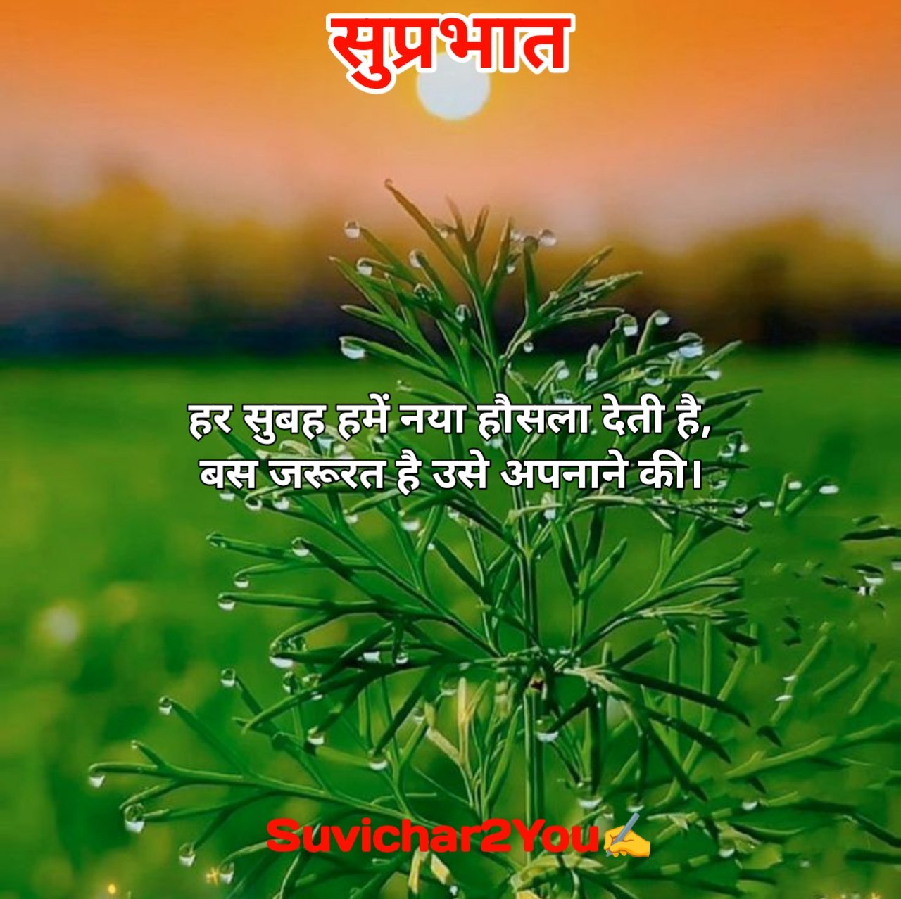 Good morning suvichar in hindi for whatsapp