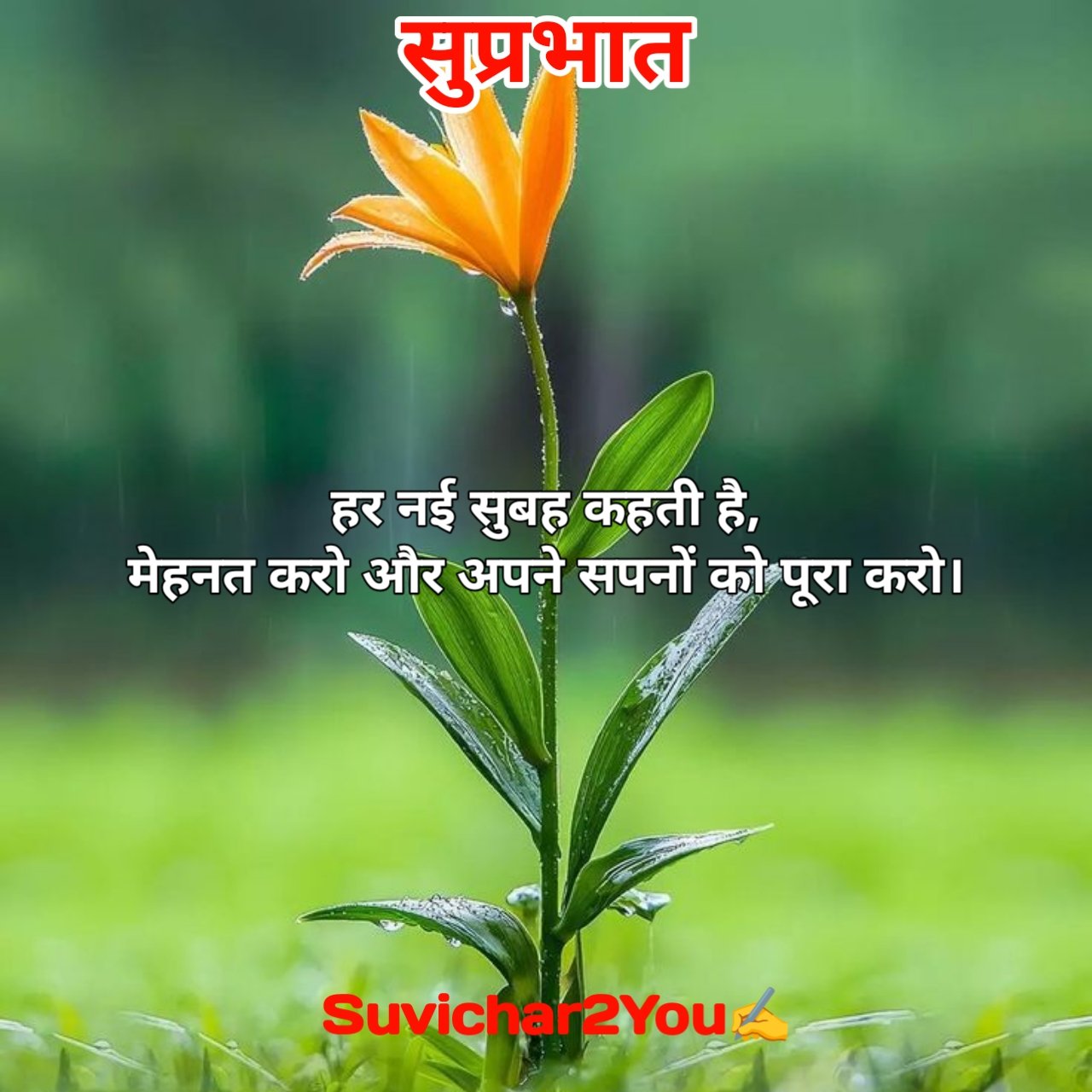 Good Morning Suvichar In Hindi