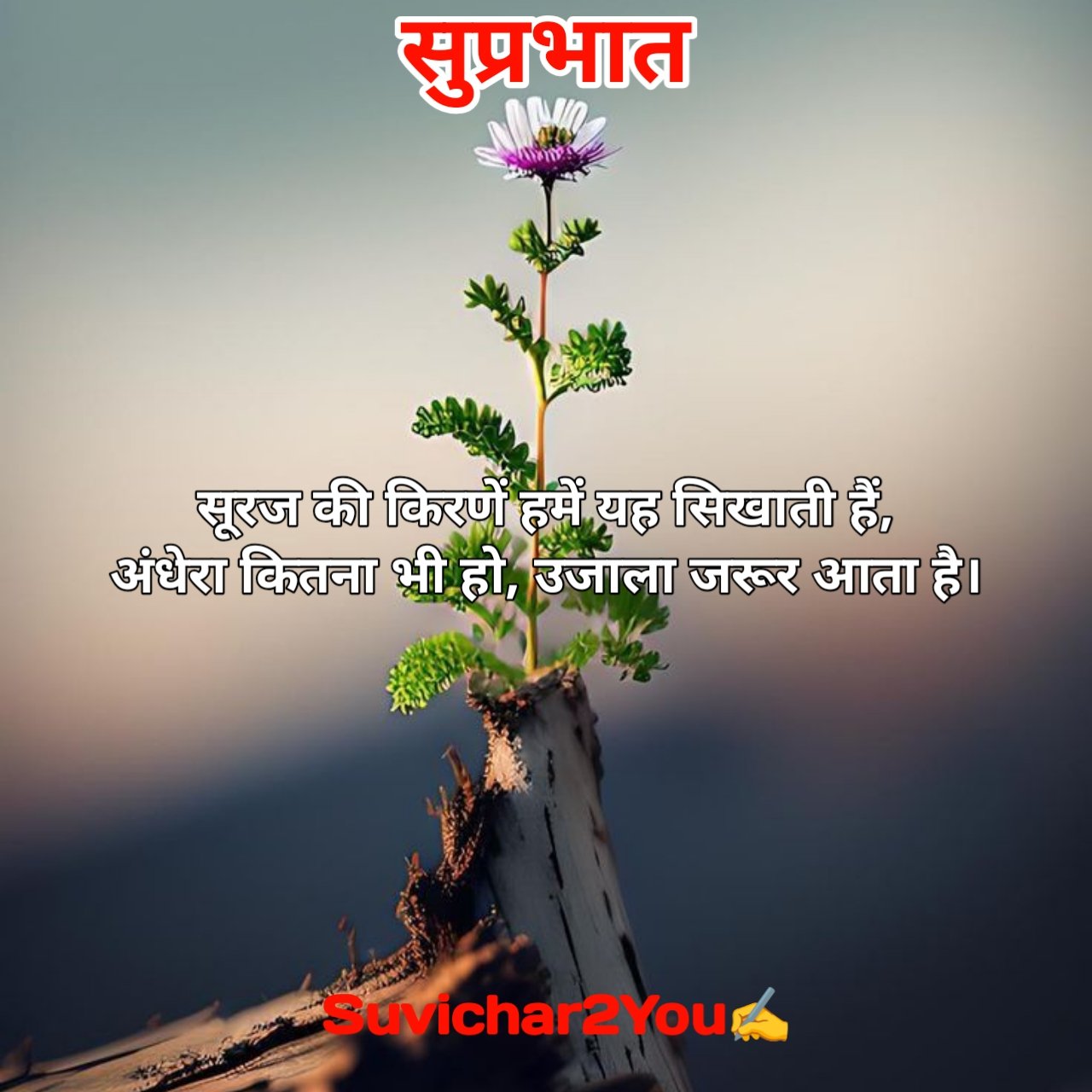 Good Morning Suvichar In Hindi