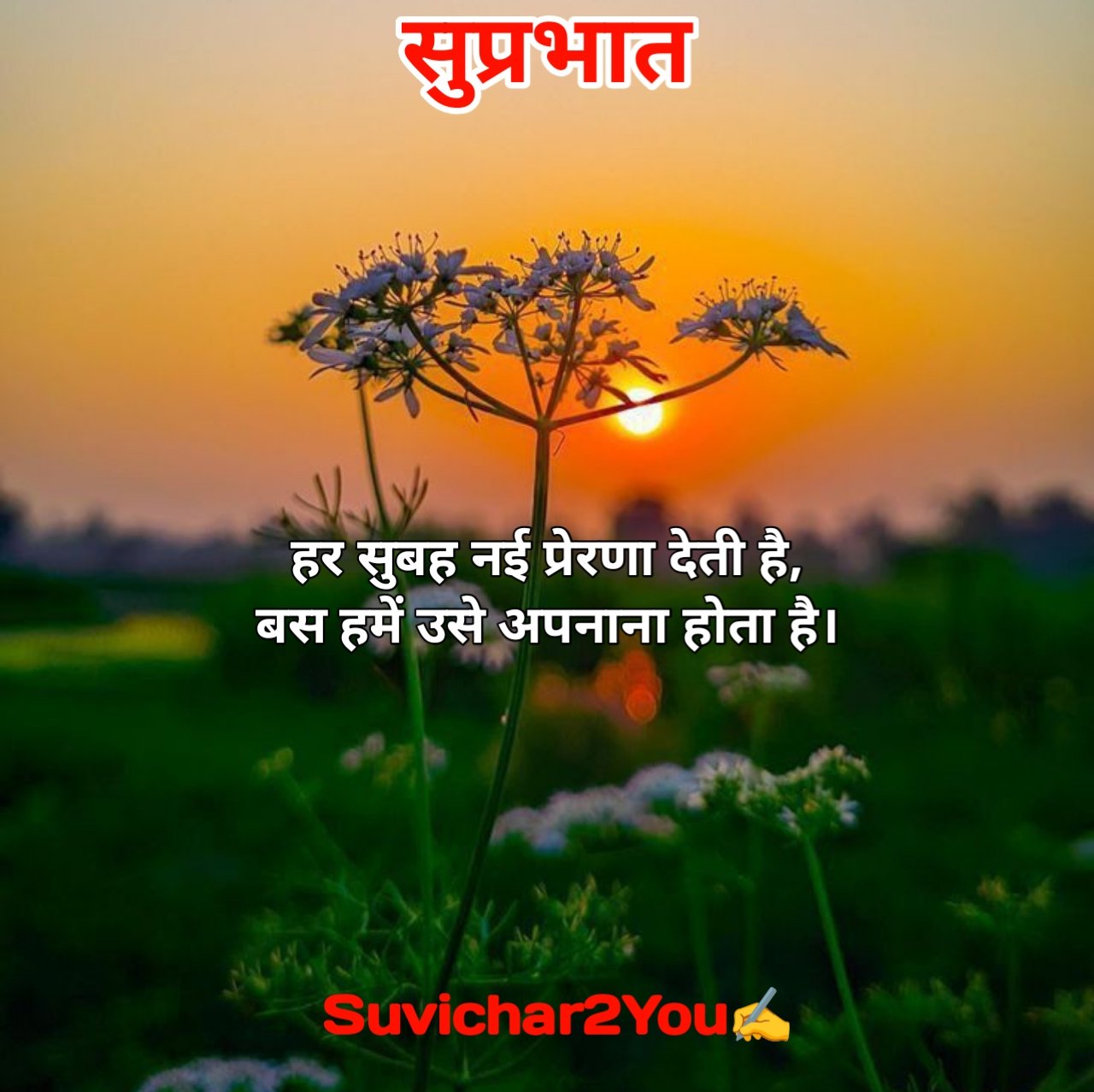 Good morning suvichar in hindi for students